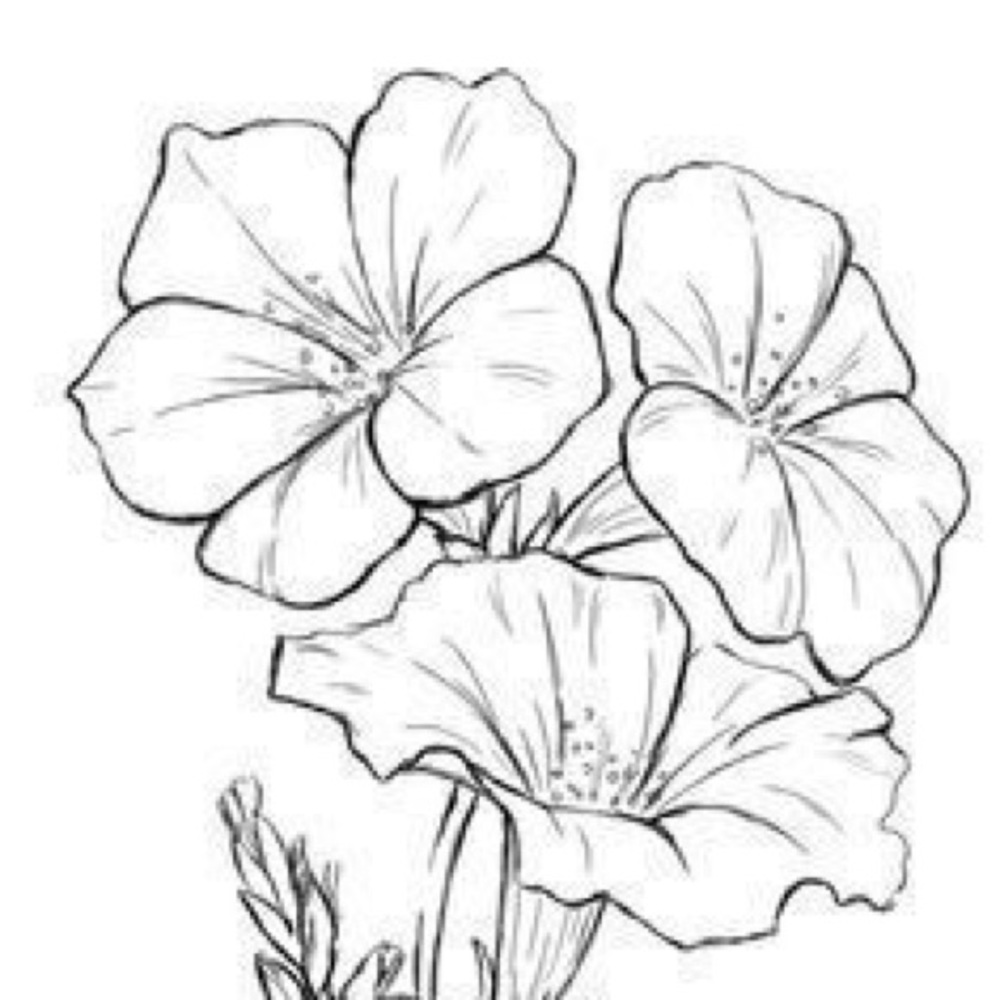 Meet your Posher, Neetu